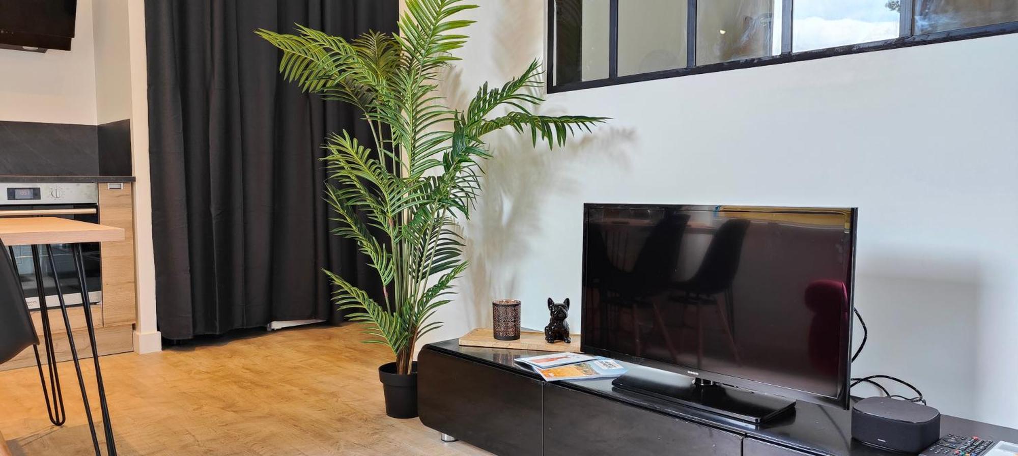 Apartamento Le Pit-stop - Wifi - Parking Albi
